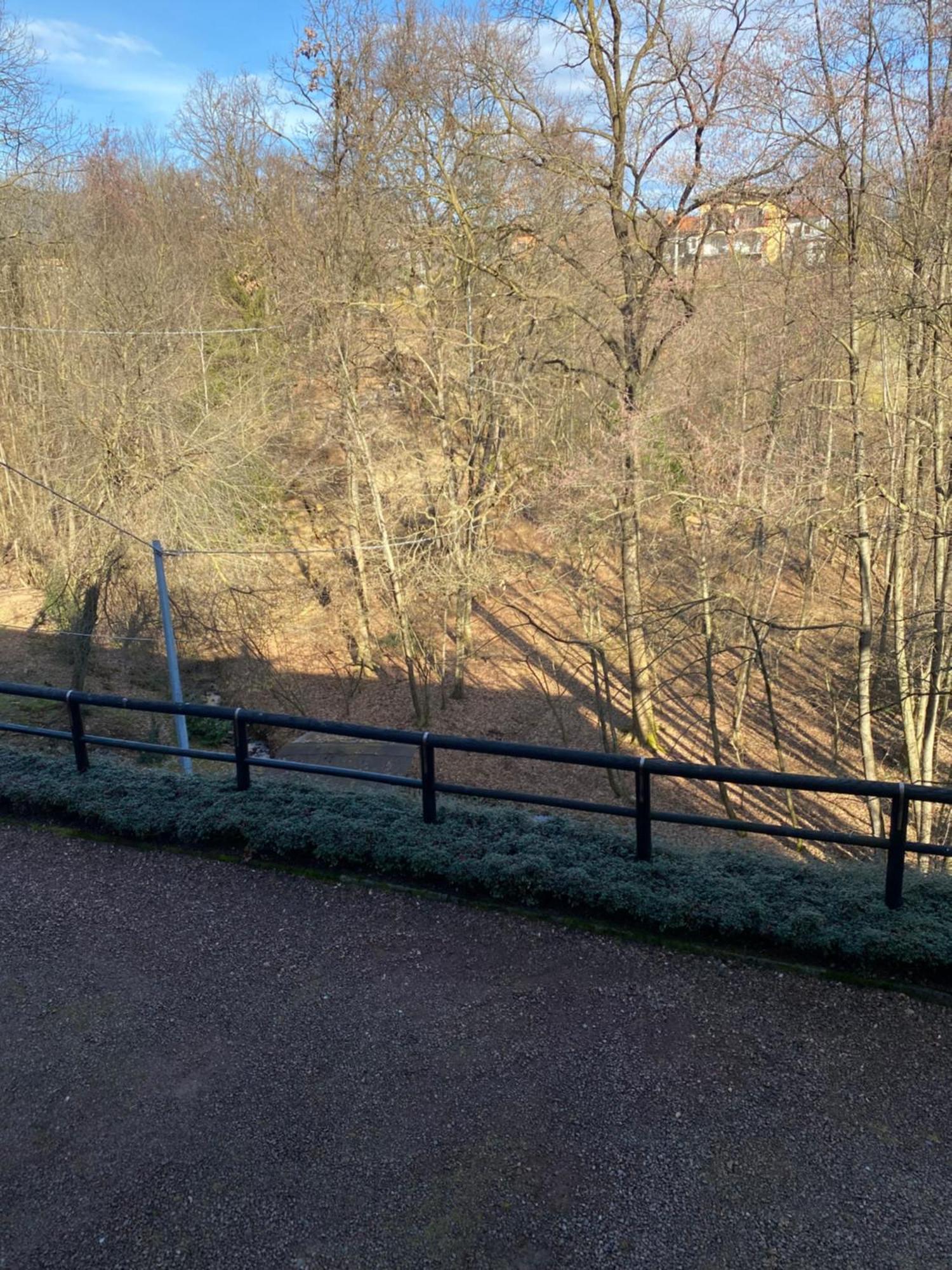 Elle E Elle Casa Bosco Natura Strona